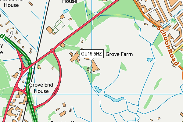 Hall Grove School map (GU19 5HZ) - OS VectorMap District (Ordnance Survey)