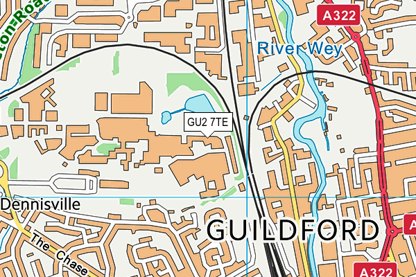 GU2 7TE map - OS VectorMap District (Ordnance Survey)