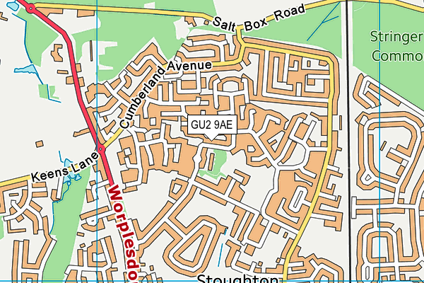 GU2 9AE map - OS VectorMap District (Ordnance Survey)