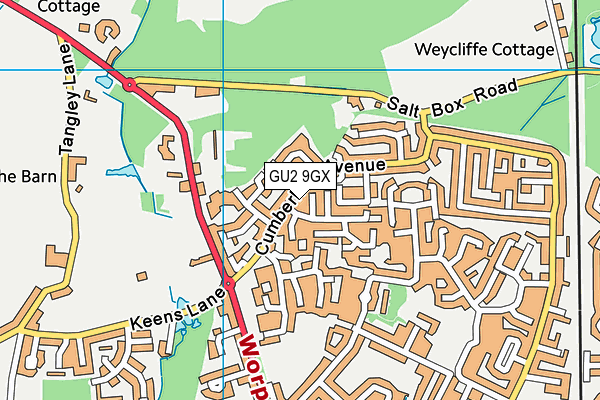 GU2 9GX map - OS VectorMap District (Ordnance Survey)