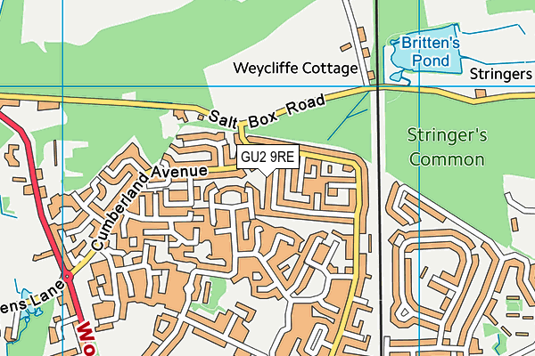 GU2 9RE map - OS VectorMap District (Ordnance Survey)