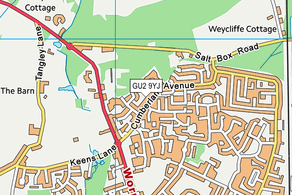 GU2 9YJ map - OS VectorMap District (Ordnance Survey)