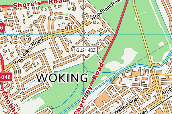 GU21 4DZ map - OS VectorMap District (Ordnance Survey)