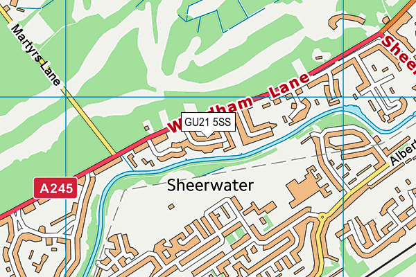 GU21 5SS map - OS VectorMap District (Ordnance Survey)