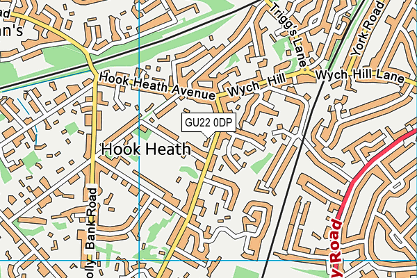 GU22 0DP map - OS VectorMap District (Ordnance Survey)