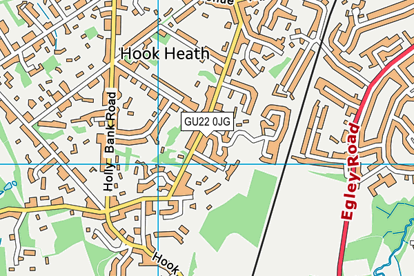 GU22 0JG map - OS VectorMap District (Ordnance Survey)