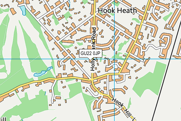 GU22 0JP map - OS VectorMap District (Ordnance Survey)