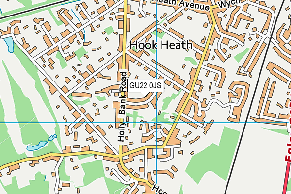 GU22 0JS map - OS VectorMap District (Ordnance Survey)