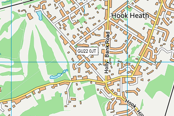 GU22 0JT map - OS VectorMap District (Ordnance Survey)