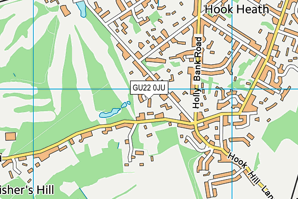 GU22 0JU map - OS VectorMap District (Ordnance Survey)