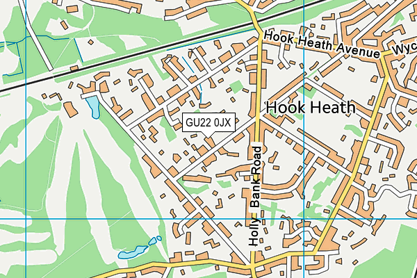 GU22 0JX map - OS VectorMap District (Ordnance Survey)