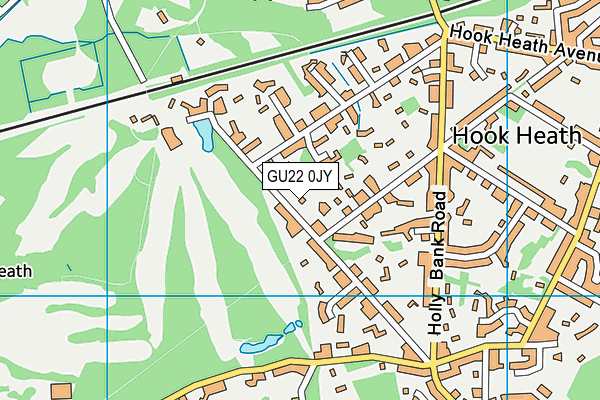 GU22 0JY map - OS VectorMap District (Ordnance Survey)