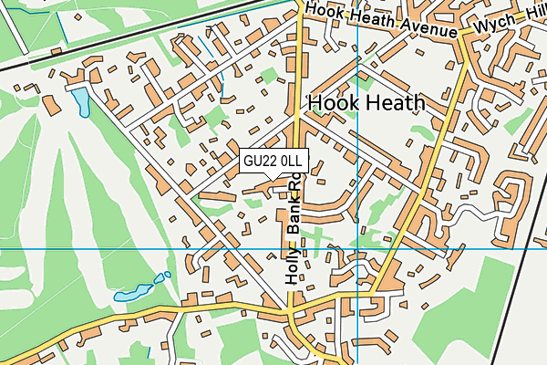GU22 0LL map - OS VectorMap District (Ordnance Survey)