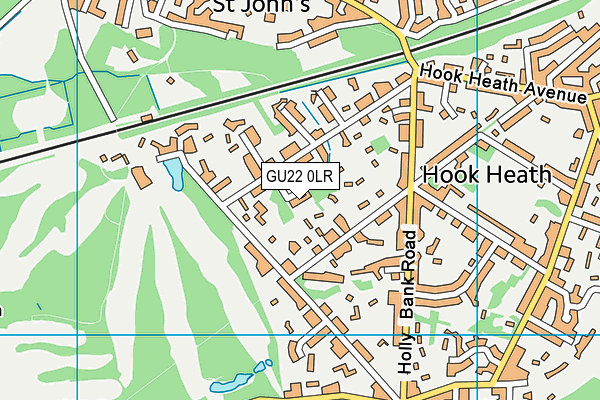 GU22 0LR map - OS VectorMap District (Ordnance Survey)