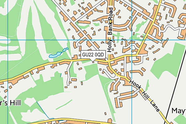 GU22 0QD map - OS VectorMap District (Ordnance Survey)