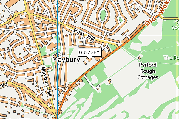 International School Of London In Surrey (Closed) map (GU22 8HY) - OS VectorMap District (Ordnance Survey)