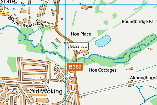 Hoe Bridge School map (GU22 8JE) - OS VectorMap District (Ordnance Survey)