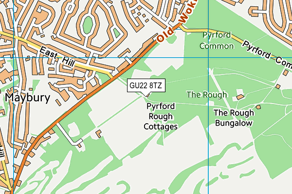 GU22 8TZ map - OS VectorMap District (Ordnance Survey)