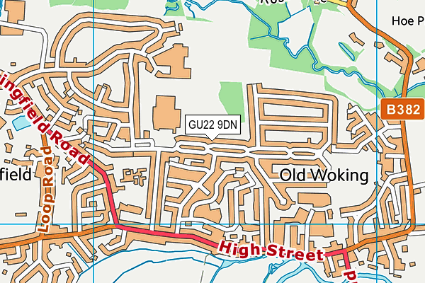 GU22 9DN map - OS VectorMap District (Ordnance Survey)