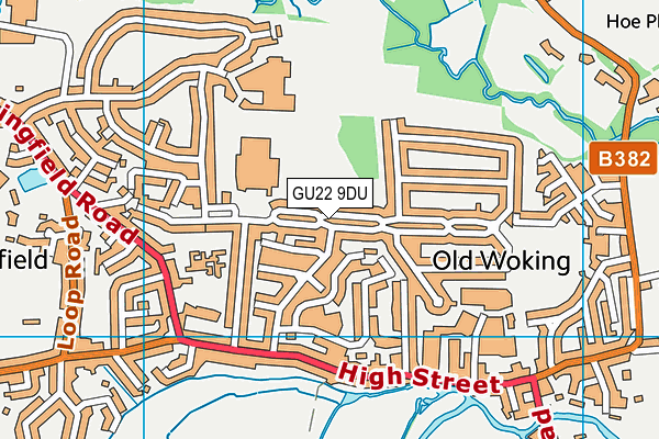 GU22 9DU map - OS VectorMap District (Ordnance Survey)