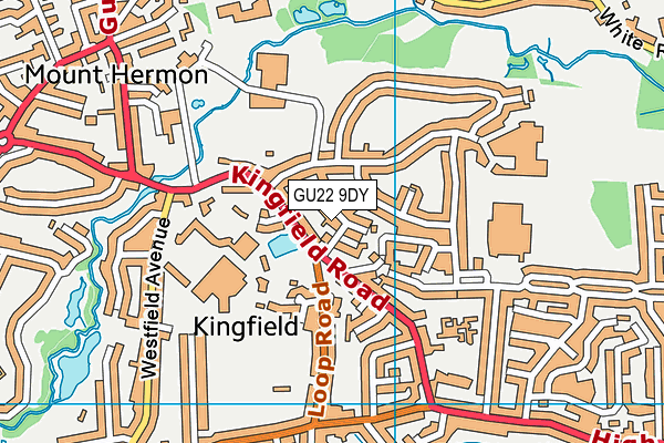 GU22 9DY map - OS VectorMap District (Ordnance Survey)