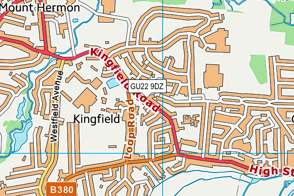 GU22 9DZ map - OS VectorMap District (Ordnance Survey)