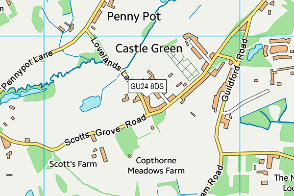 GU24 8DS map - OS VectorMap District (Ordnance Survey)