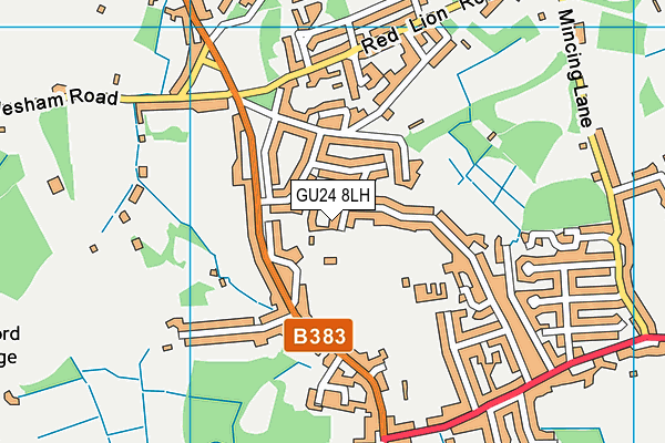 GU24 8LH map - OS VectorMap District (Ordnance Survey)