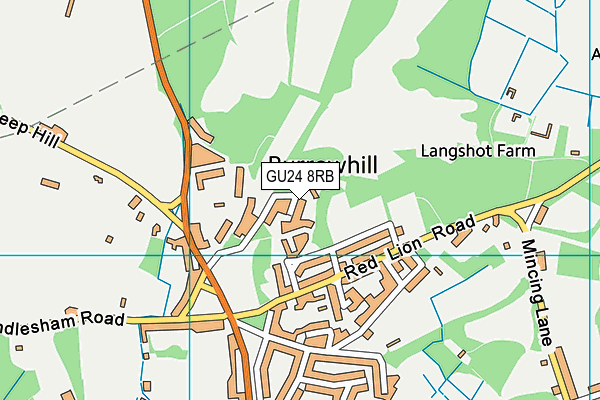 GU24 8RB map - OS VectorMap District (Ordnance Survey)