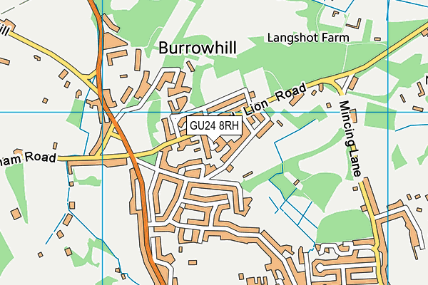 GU24 8RH map - OS VectorMap District (Ordnance Survey)