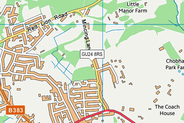 GU24 8RS map - OS VectorMap District (Ordnance Survey)