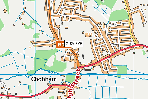 GU24 8YE map - OS VectorMap District (Ordnance Survey)