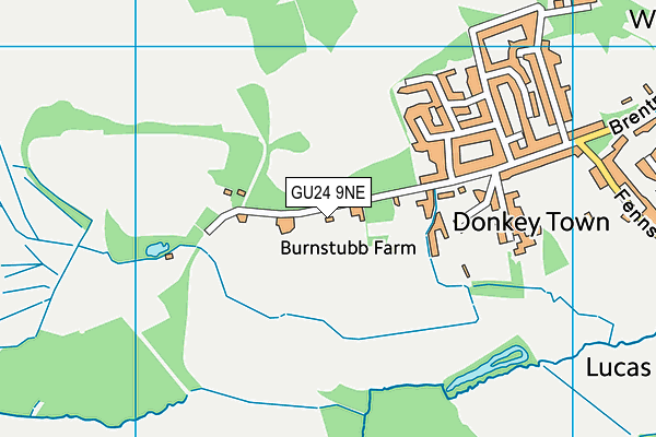 GU24 9NE map - OS VectorMap District (Ordnance Survey)