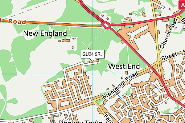 GU24 9RJ map - OS VectorMap District (Ordnance Survey)