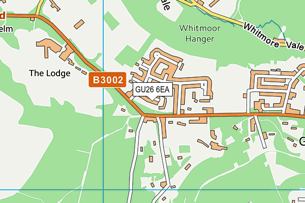 GU26 6EA map - OS VectorMap District (Ordnance Survey)