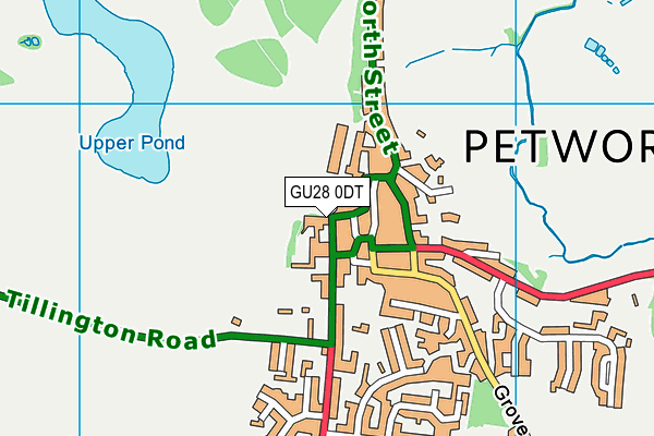 GU28 0DT map - OS VectorMap District (Ordnance Survey)