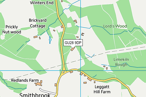 GU28 9DP map - OS VectorMap District (Ordnance Survey)