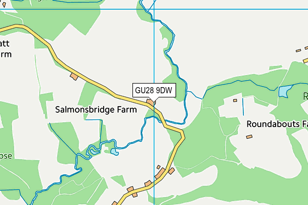 GU28 9DW map - OS VectorMap District (Ordnance Survey)