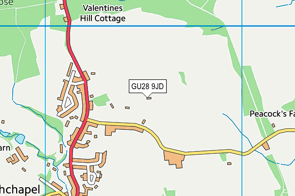 GU28 9JD map - OS VectorMap District (Ordnance Survey)