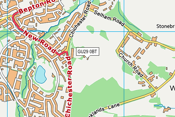 GU29 0BT map - OS VectorMap District (Ordnance Survey)