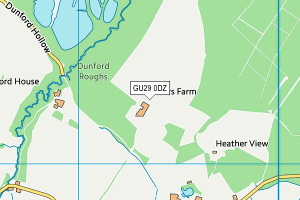 GU29 0DZ map - OS VectorMap District (Ordnance Survey)
