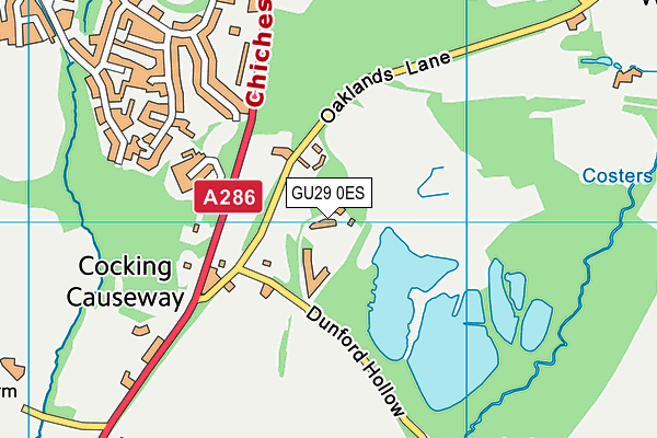 GU29 0ES map - OS VectorMap District (Ordnance Survey)