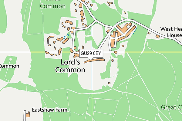 GU29 0EY map - OS VectorMap District (Ordnance Survey)