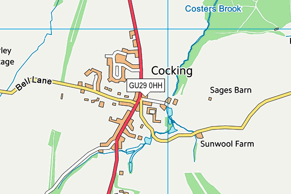 GU29 0HH map - OS VectorMap District (Ordnance Survey)