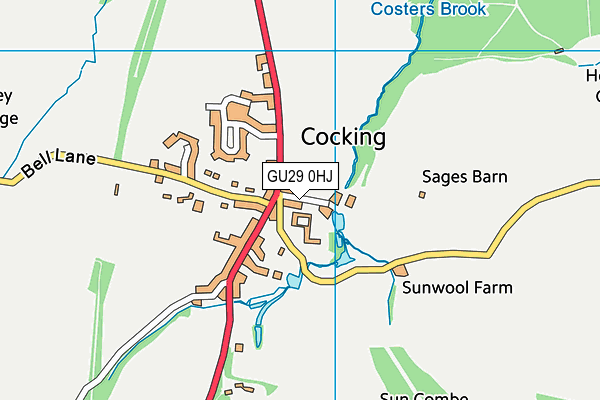 GU29 0HJ map - OS VectorMap District (Ordnance Survey)