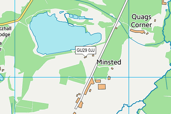 GU29 0JJ map - OS VectorMap District (Ordnance Survey)