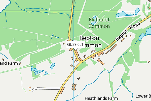 GU29 0LT map - OS VectorMap District (Ordnance Survey)