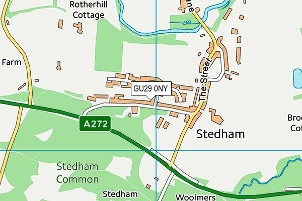 Stedham Primary School map (GU29 0NY) - OS VectorMap District (Ordnance Survey)