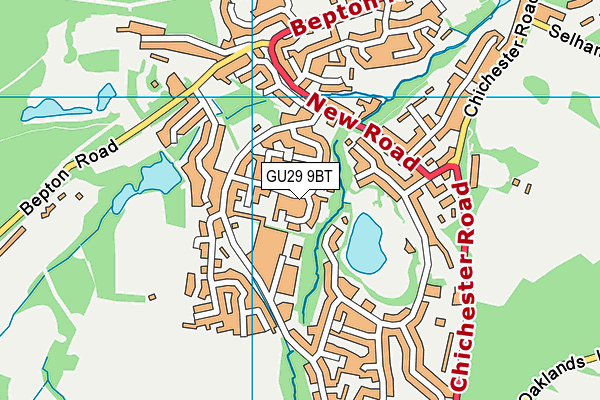 GU29 9BT map - OS VectorMap District (Ordnance Survey)