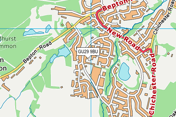 GU29 9BU map - OS VectorMap District (Ordnance Survey)